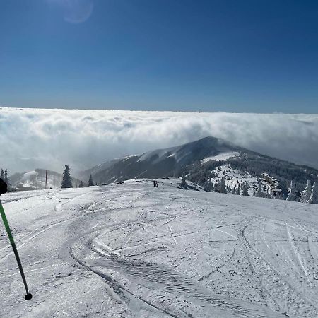 Kopaonik -Beautiful View Apartment- Skiing 외부 사진