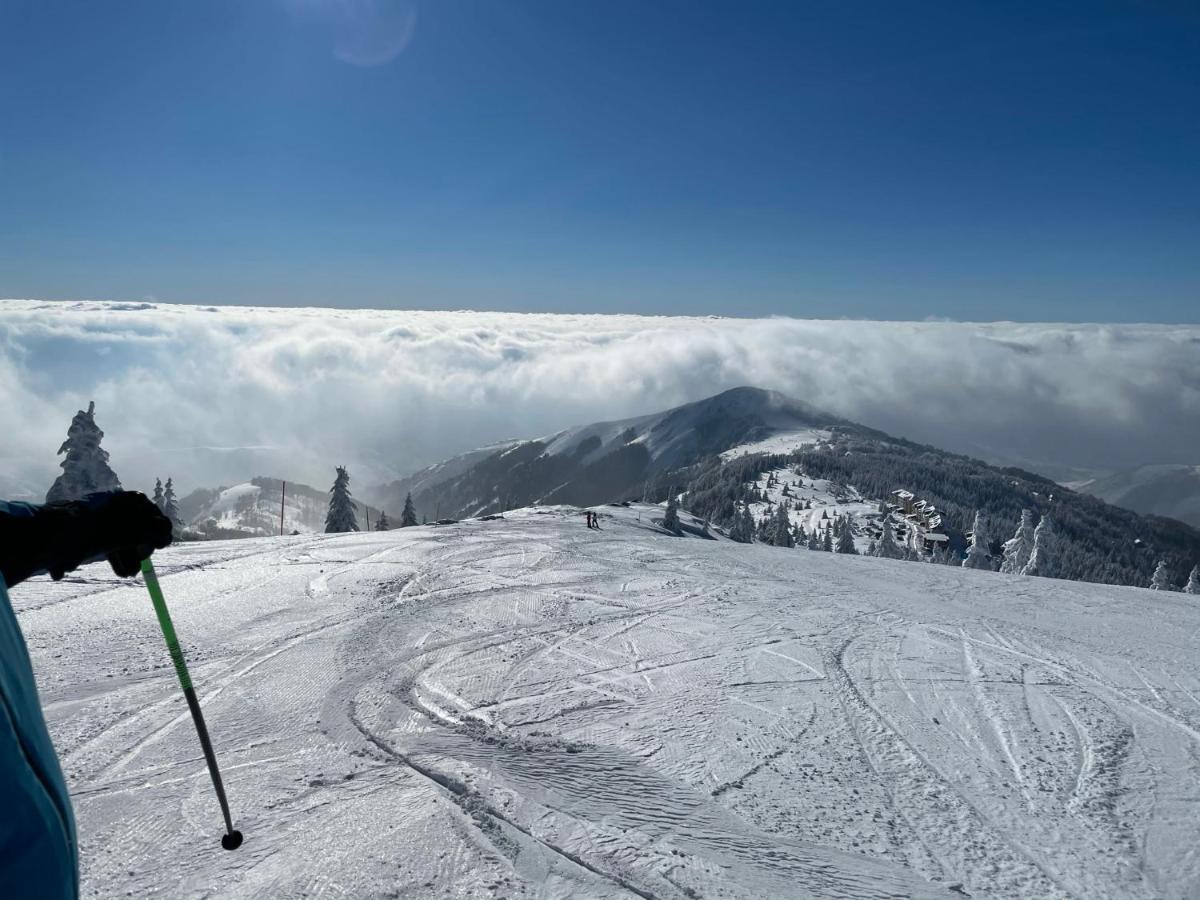 Kopaonik -Beautiful View Apartment- Skiing 외부 사진